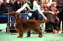 Crufts2011_2 023